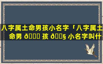 八字属土命男孩小名字「八字属土命男 🐞 孩 🐧 小名字叫什么」